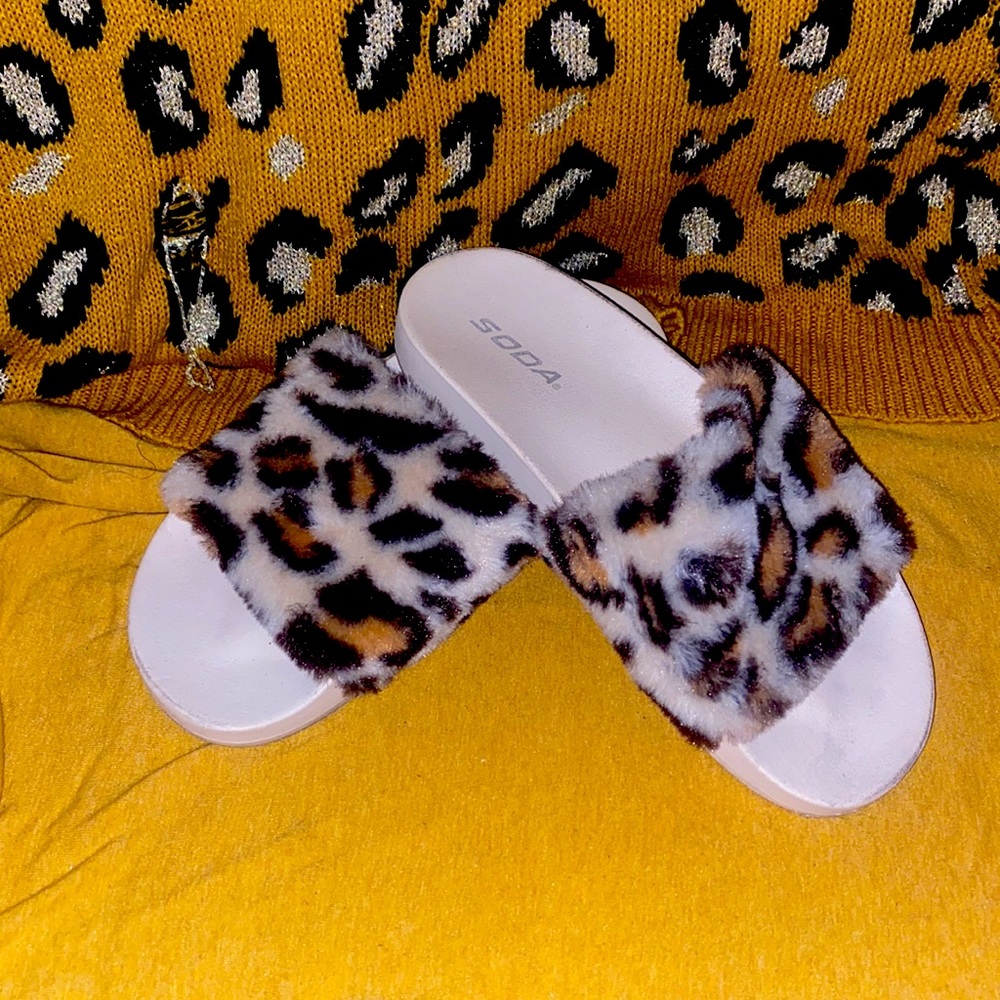 Leopard 🐆 slides